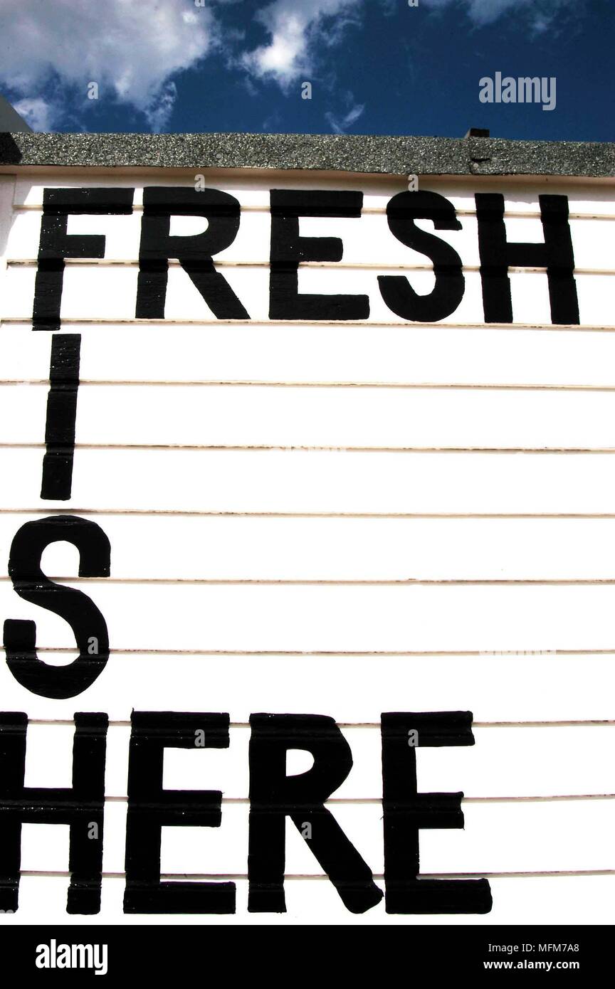 David Potter / Band /Hotshoe/Photoshot - spiaggia scene - un tipico British seafood shop - Felixstowe - REGNO UNITO. Bandphoto/credito obbligatoria: Hotshoe/Photosh Foto Stock