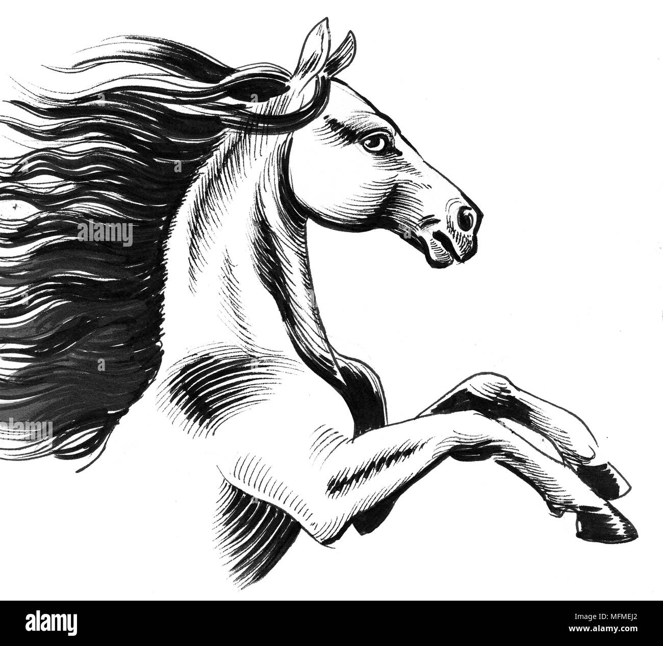 Cavallo Bianco Con Una Lunga Criniera Linchiostro Bianco E