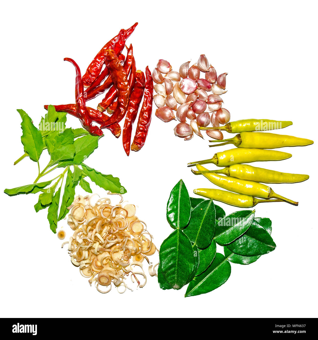 Gruppo di ingredienti di condimento e sulla parte superiore della tavola, Tailandese ingredienti speziati con peperoncino e aglio, citronella Foto Stock