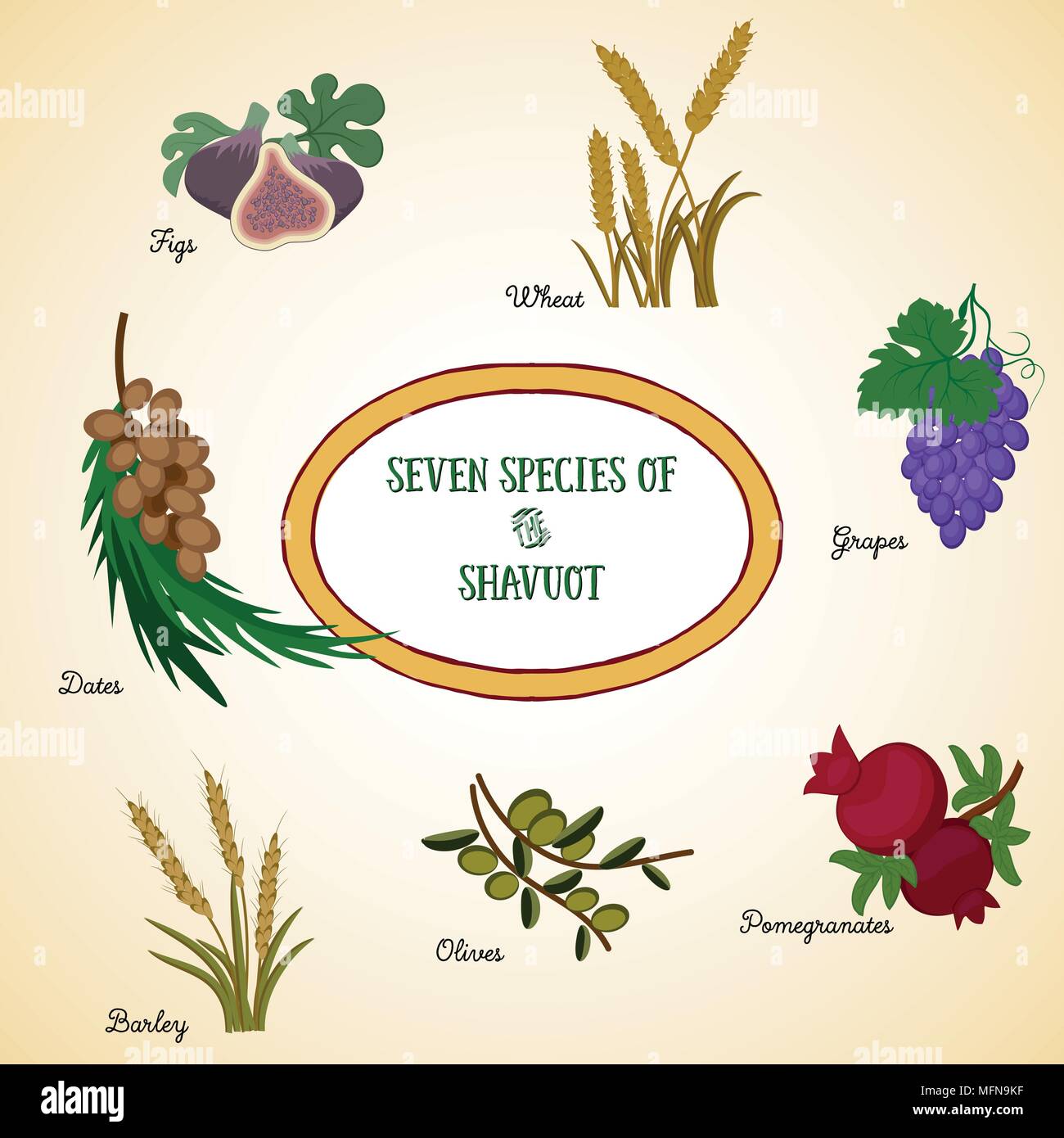 Sette specie di Shavuot, prodotti agricoli - due grani e cinque frutti che sono tradizionalmente consumato in festa ebraica Shavuot. Vector illu Illustrazione Vettoriale