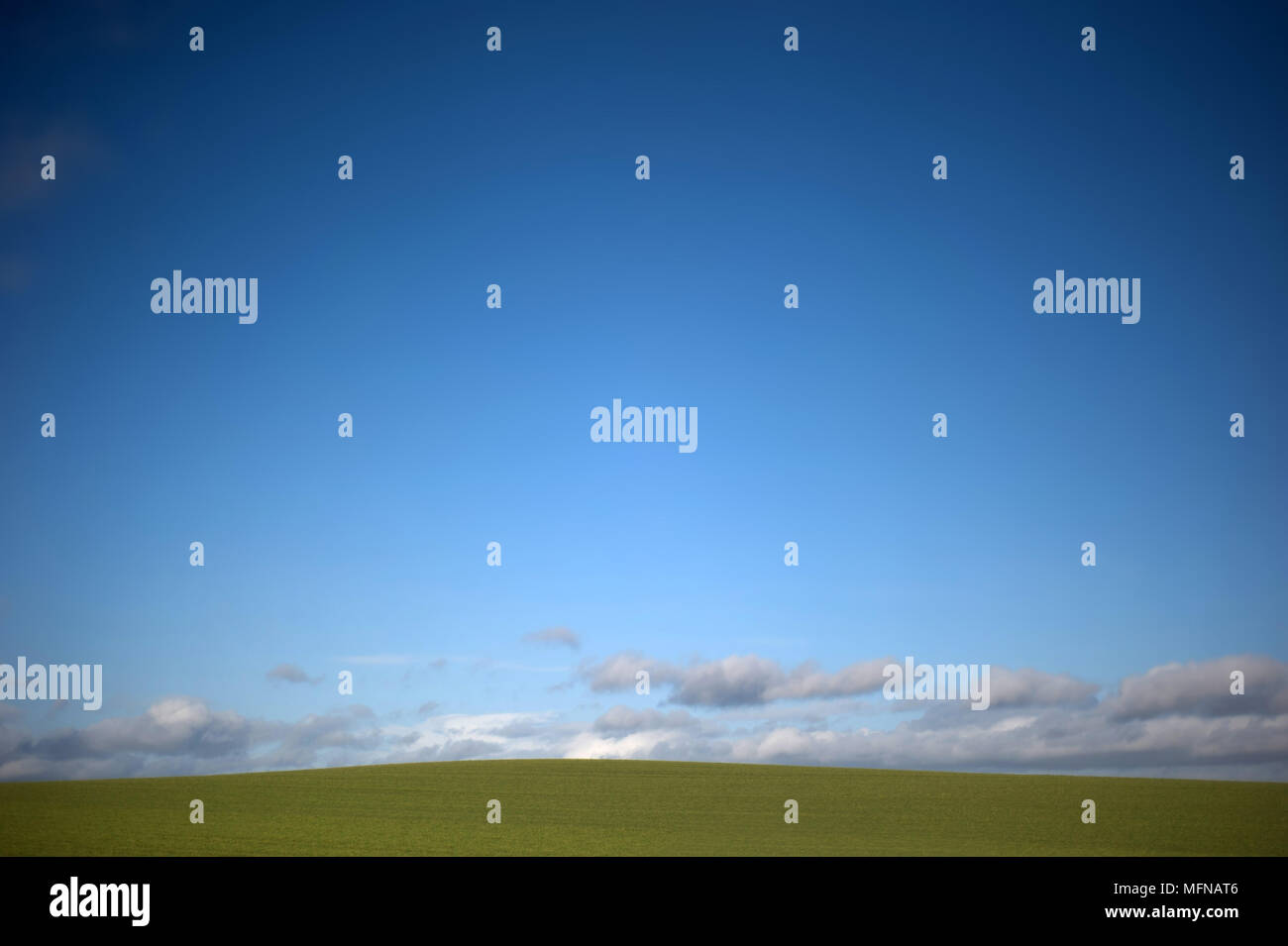 Orizzonte di cielo blu e verde campo, Couunty Durham, Regno Unito Foto Stock