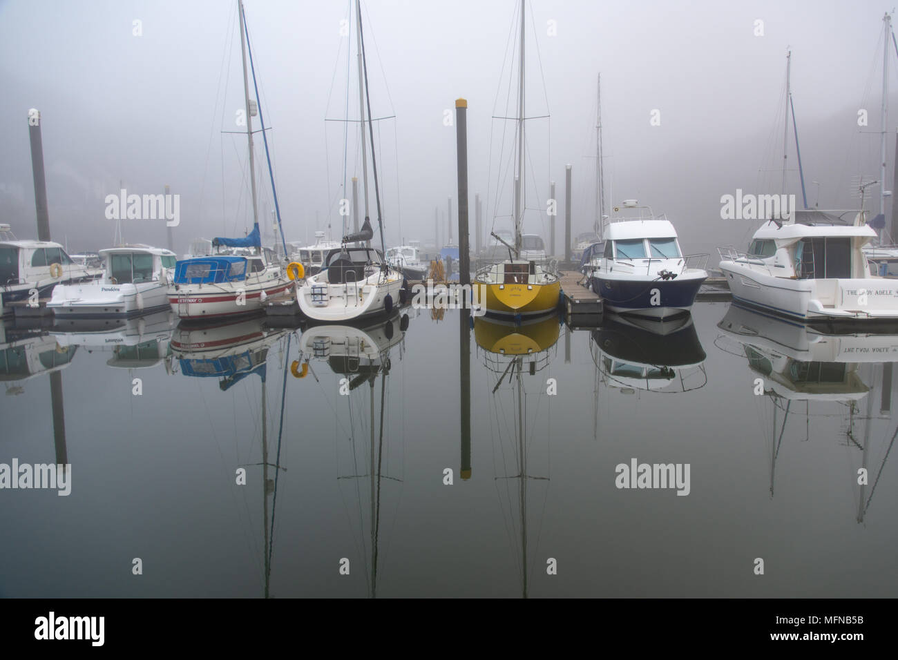 Riflessioni perfetta in una nebbiosa mattina a Neyland Marina, Pembrokeshire Foto Stock