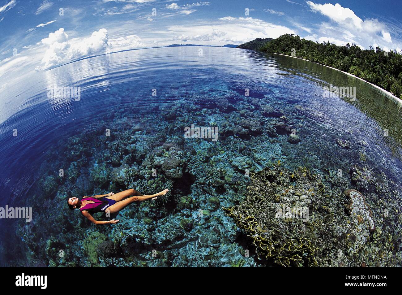 Shallow, intatta barriera corallina e la spiaggia incontaminata sull isola di Walea, Togian arcipelago, Tomini golfo, Sulawesi centrali, Indonesia data: 19.07.2006 ri Foto Stock