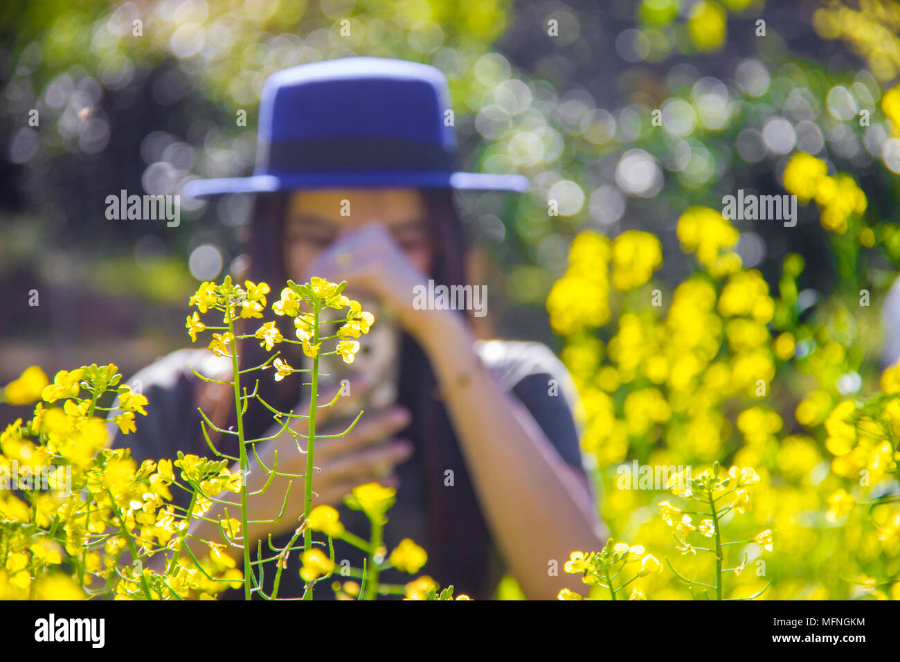 Donna turistica prendendo foto di fiori gialli con lo smartphone Foto Stock