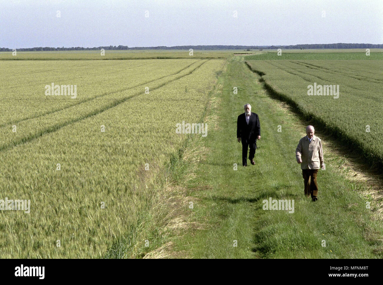 Les Cotelettes Francia Philippe Noiret, Michel Bouquet Direttore: Bertrand Blier Foto Stock