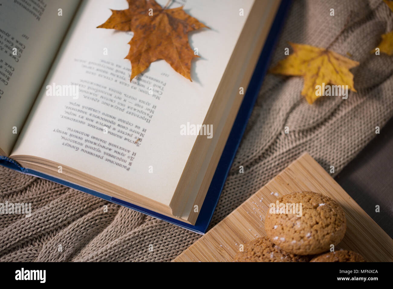 Prenota con foglie di autunno e cookie su home coperta Foto Stock