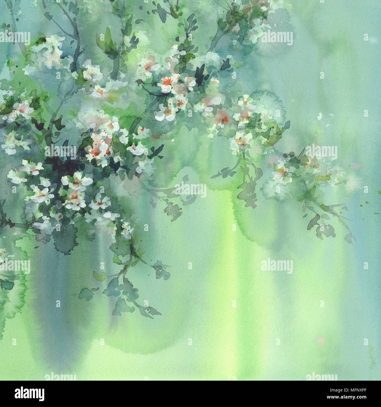 Fiore di Ciliegio sfondo ad acquerello Foto Stock
