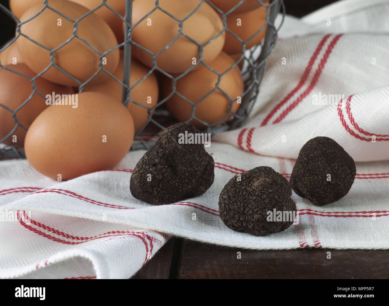 Uova di gallina con Perigord tartufo, tuber melanosporum Foto Stock