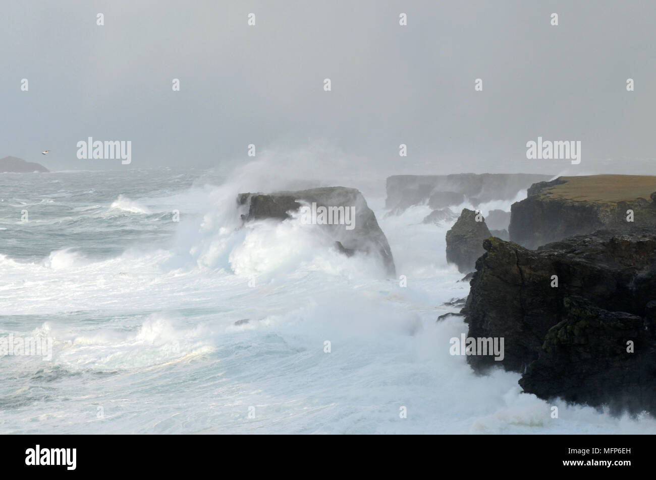 Offerta le onde a Eshaness scogliere in Shetland isola durante una grande tempesta atlantica Foto Stock