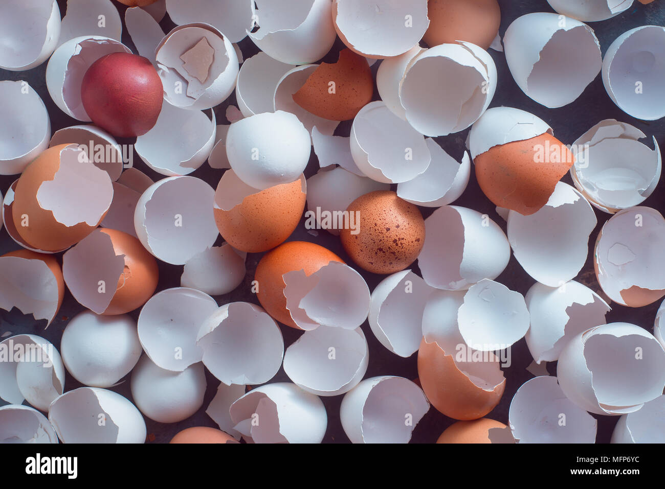 Vuoto, incrinature e rotture di aprire dei gusci di bianco e marrone di uova di gallina pronti per andare in rifiuti organici. Residui di cottura dal di sopra. Foto Stock