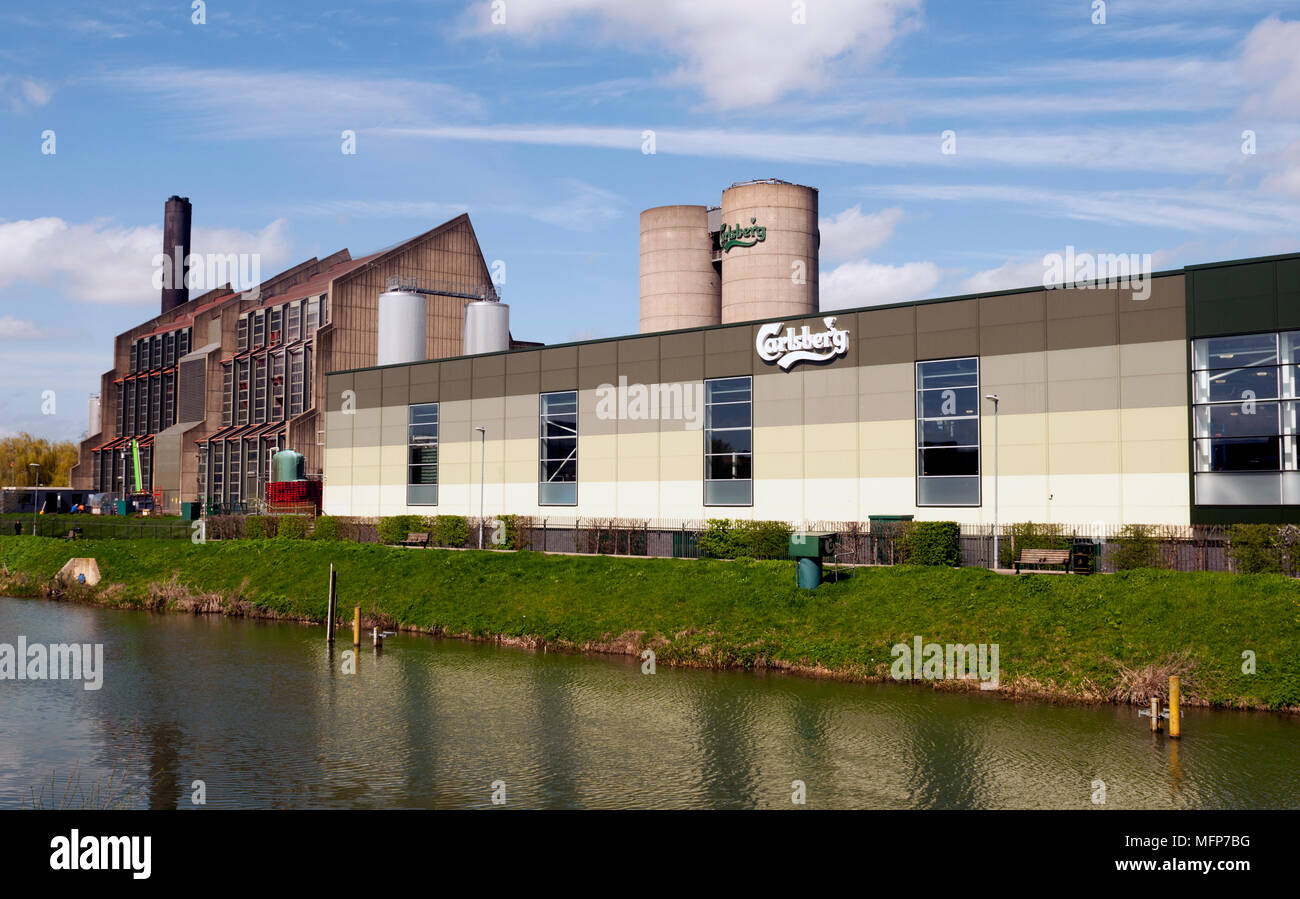 La Carlsberg Brewery e fiume Nene, Northampton, Northamptonshire, England, Regno Unito Foto Stock