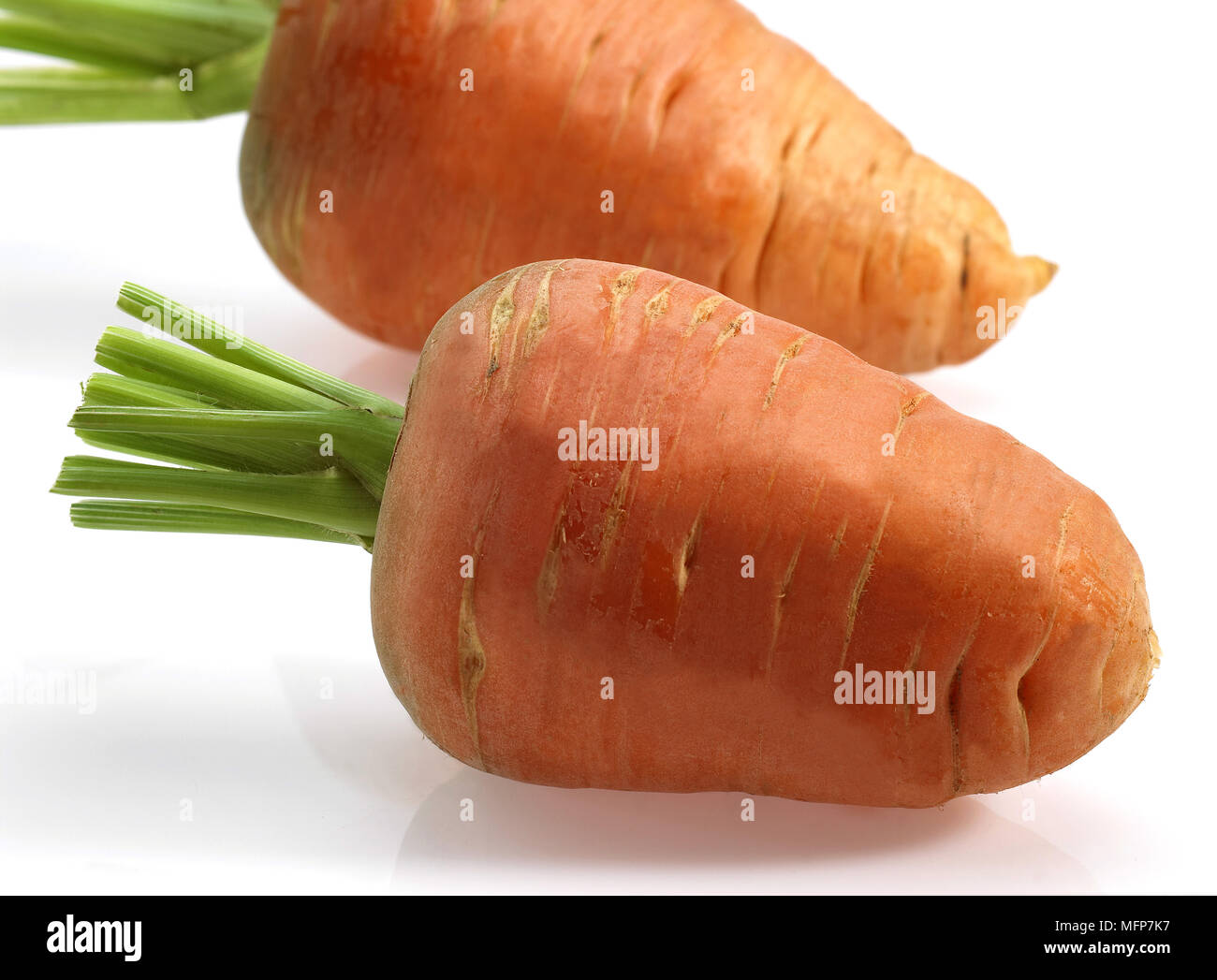 La carota, Daucus carota, vegetali contro uno sfondo bianco Foto Stock