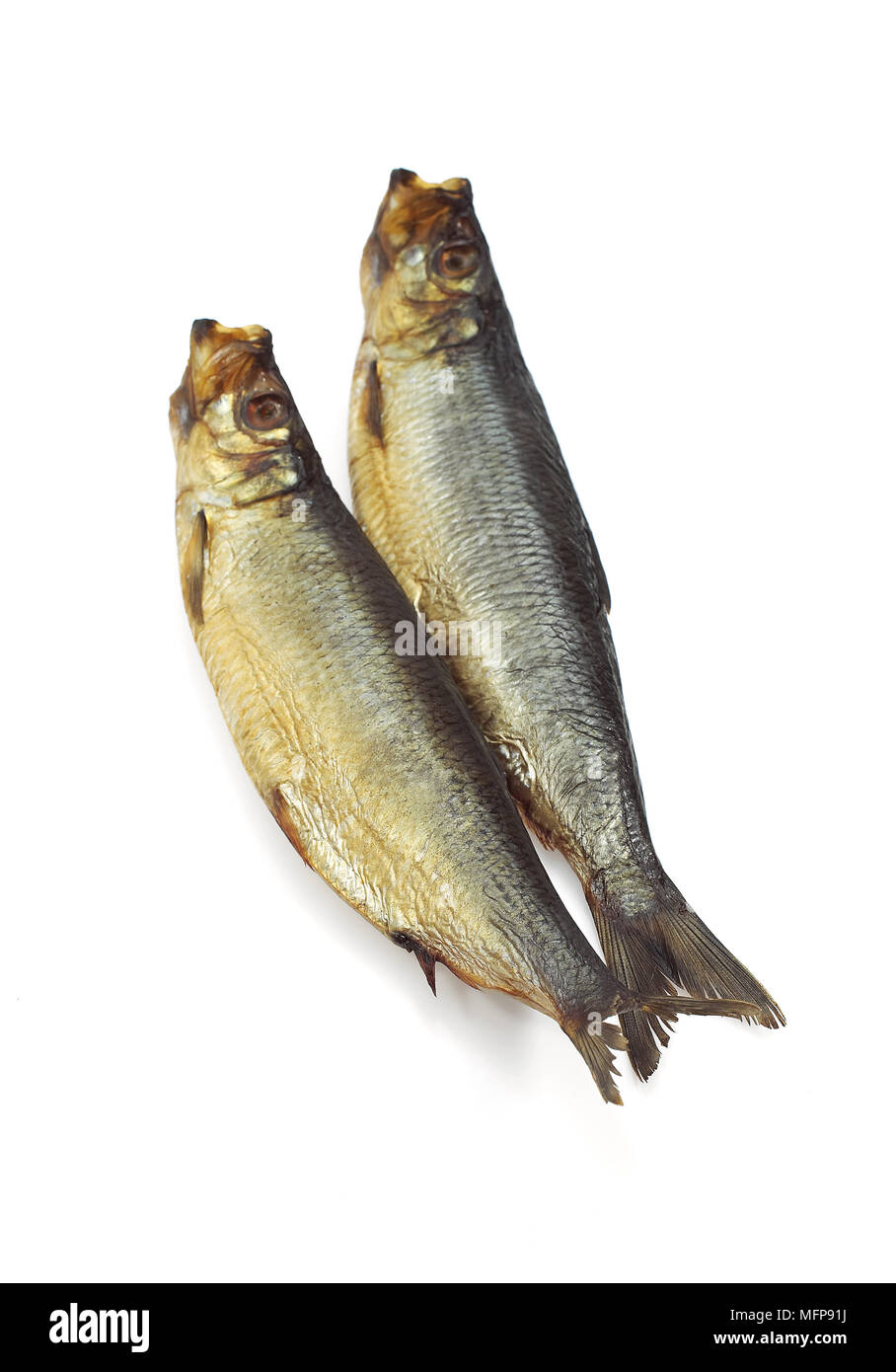 Aringa affumicata o Bouffi Bloater, Clupea harengus Foto Stock