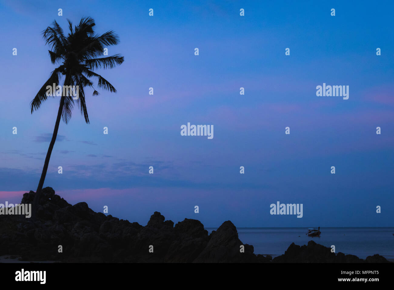 Silhouette di un albero di palme sulla spiaggia di twillight Foto Stock