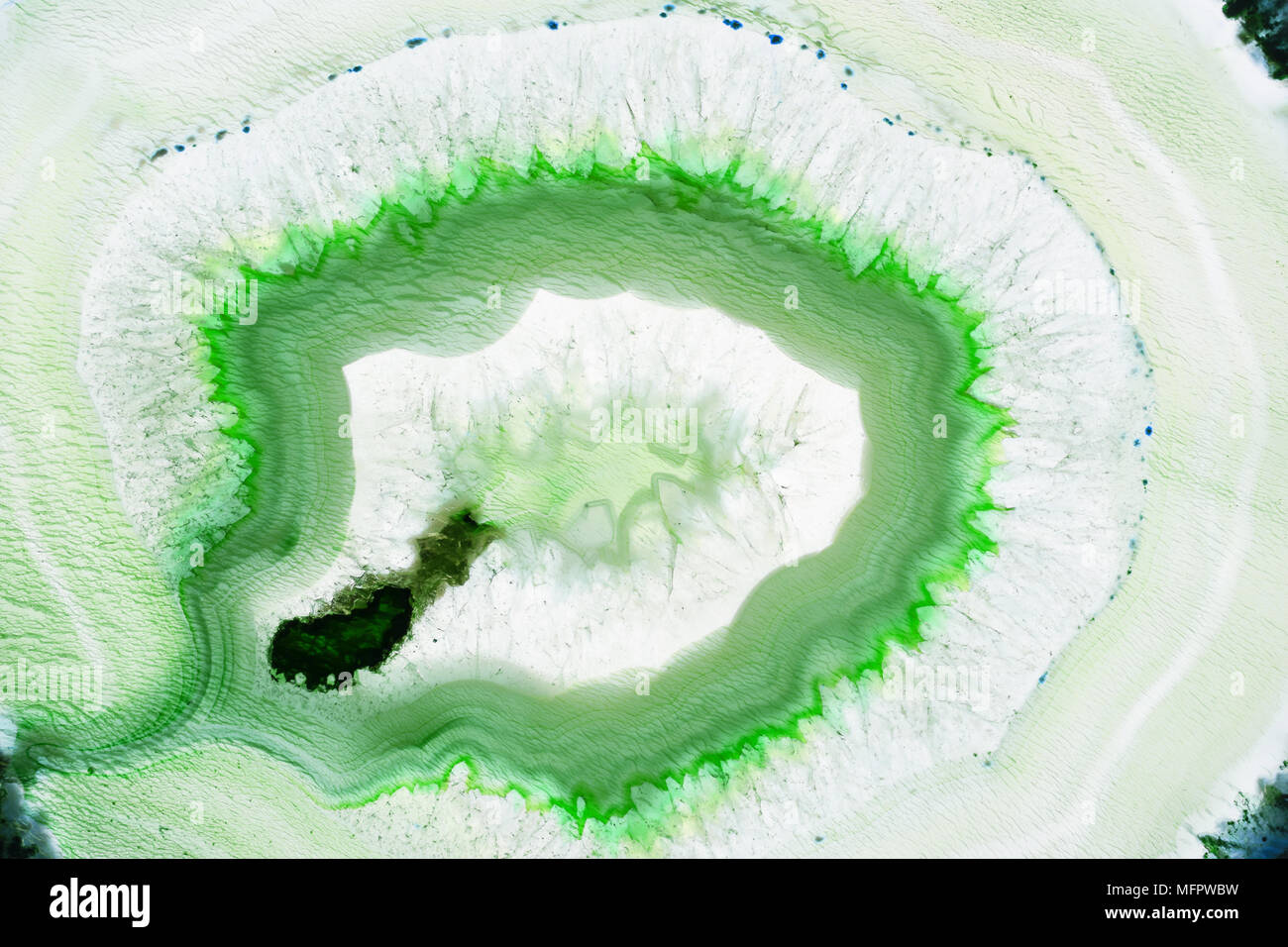 Agata verde sezione trasversale rotonda minerali striato, sfondo astratto Foto Stock
