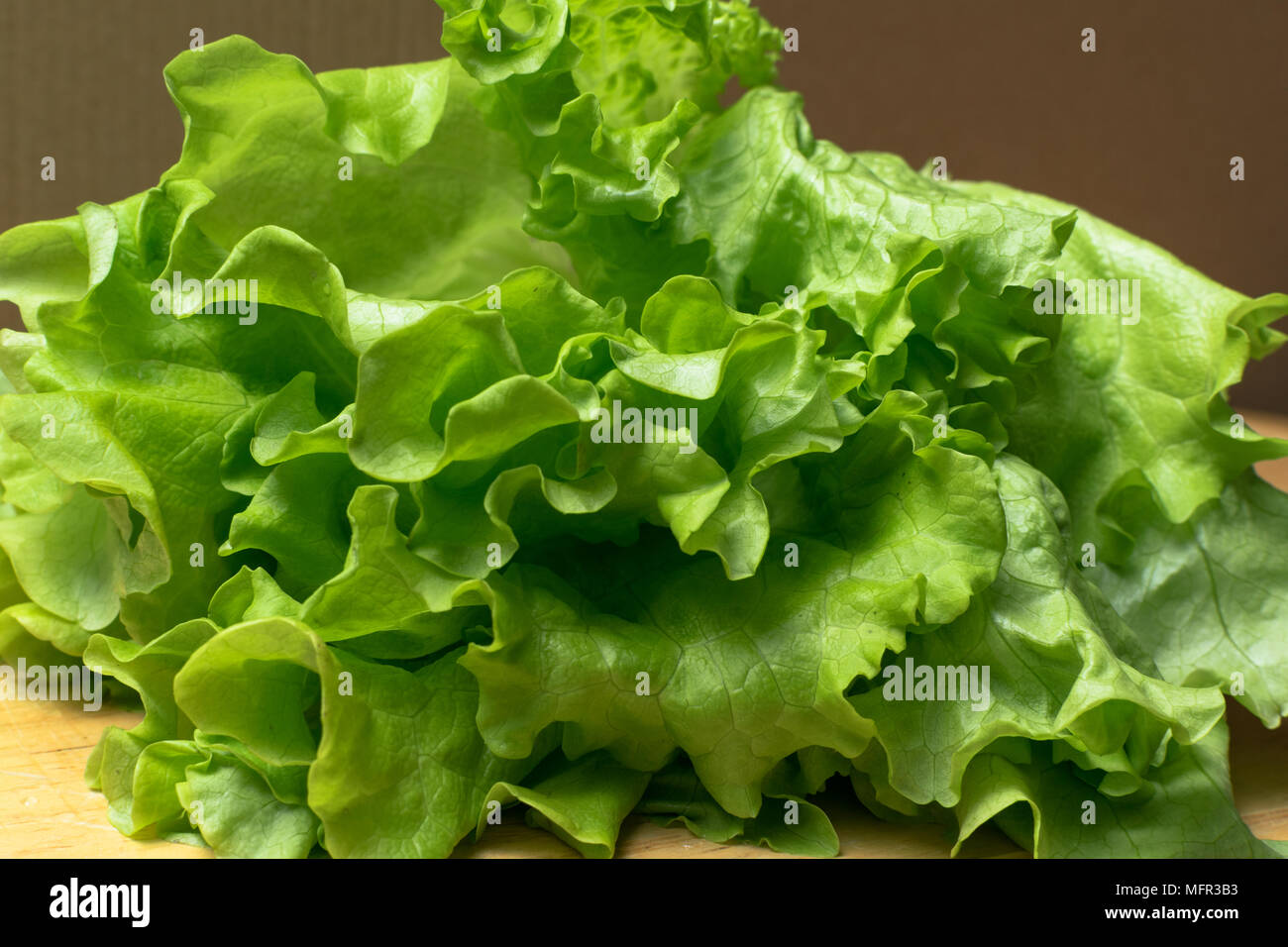 Pila di fresco e ricci letucce organico teste. Harvest mucchio di taglio fresco insalata verde lascia su di un tavolo di legno. Pulire il concetto di mangiare. Vegeteria sani Foto Stock