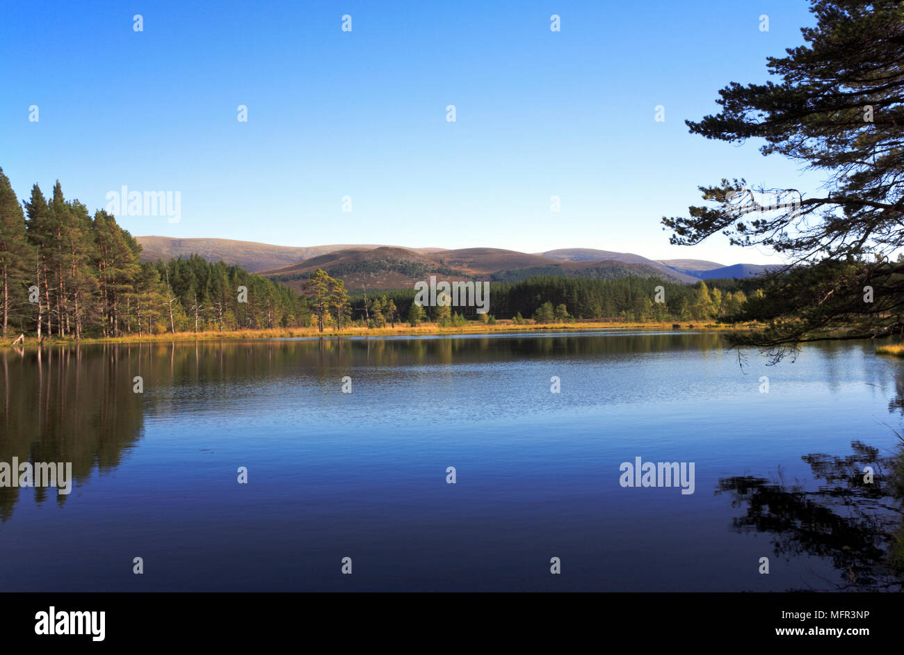 Riflessioni in Uath Lochan, vicino a Aviemore, Inverness-shire, Scozia. Foto Stock