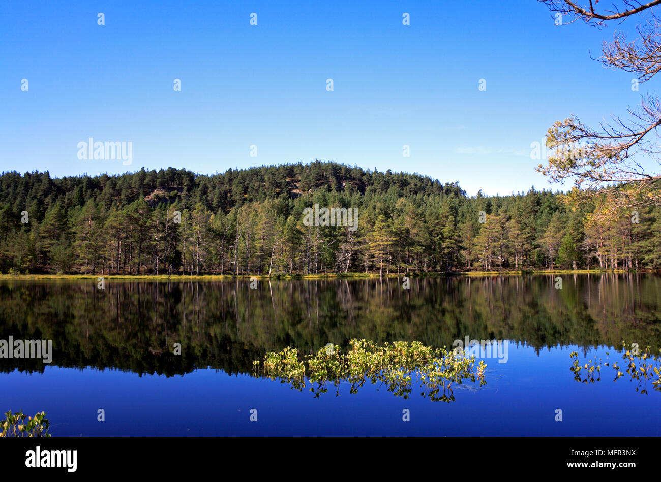 Riflessioni in Uath Lochan, vicino a Aviemore, Inverness-shire, Scozia. Foto Stock