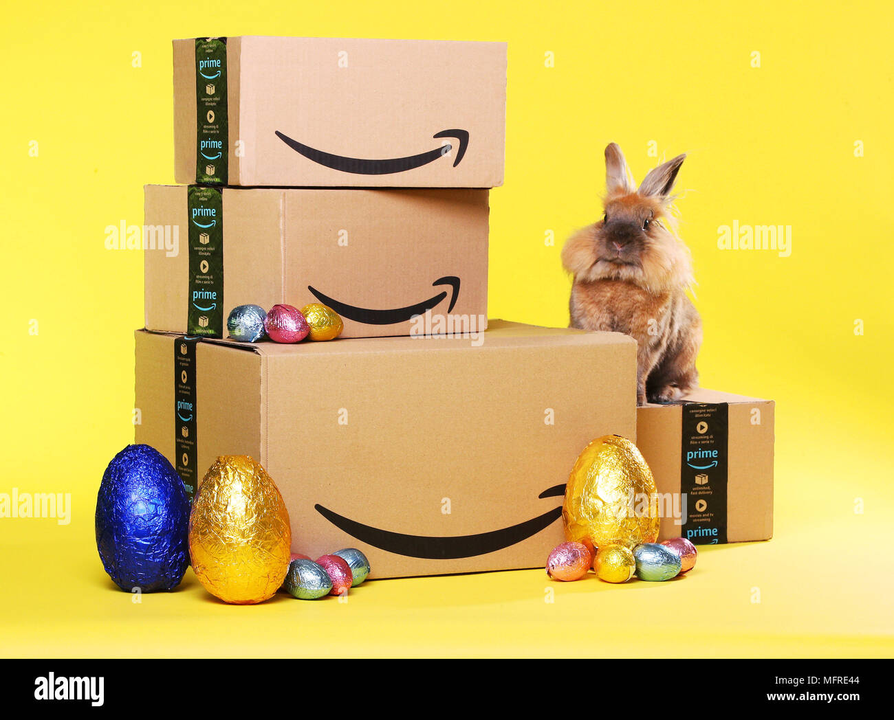 Amazon.co.uk Inizio Pasqua vendita verrà eseguito fino al 23:59 il lunedì  26 marzo, durante tutta la vendita nuovo " Tenuta del Giorno' sono state  disponibili ogni 24 ore per tutto il periodo