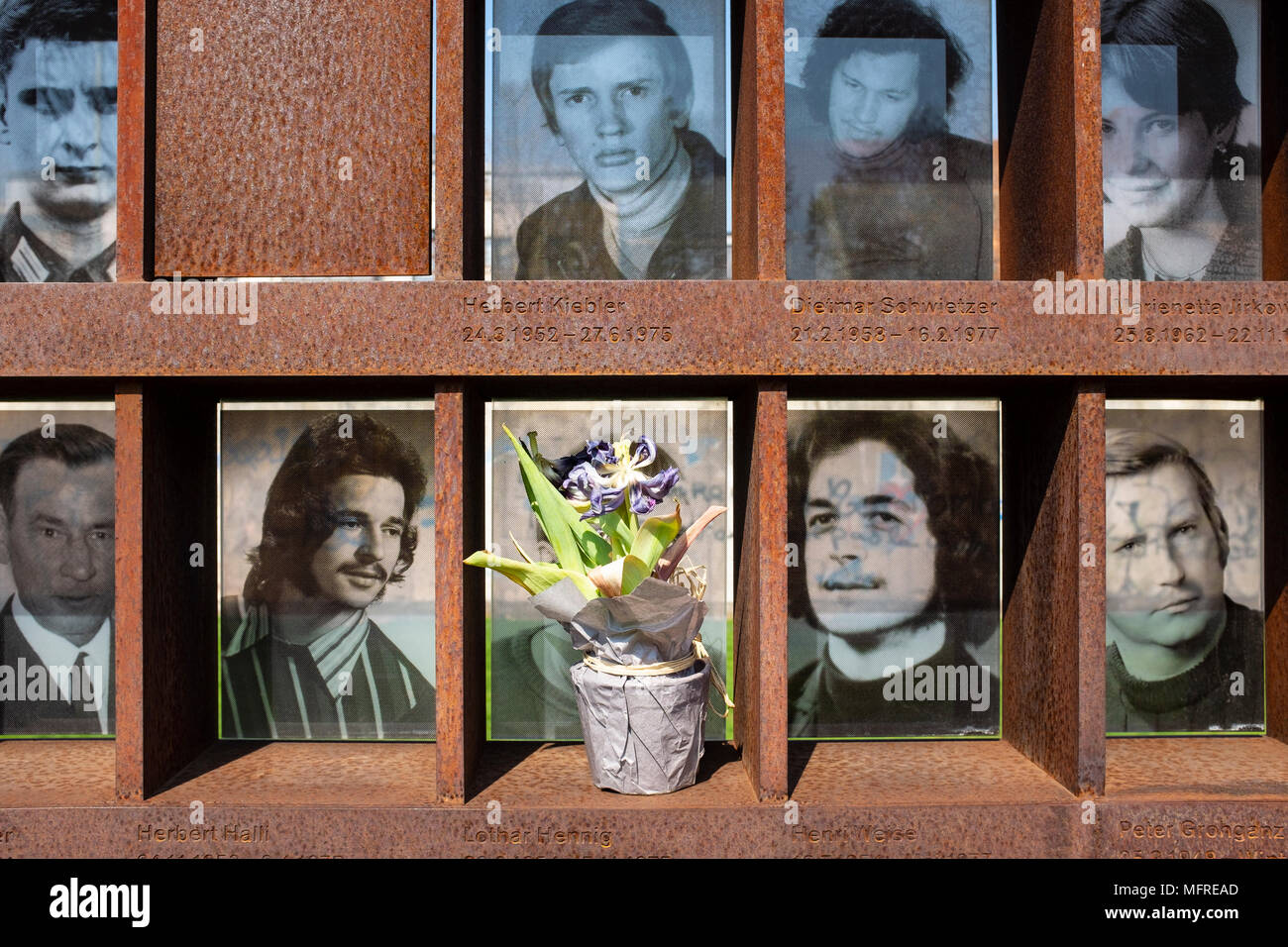 Fotografie di coloro i quali che sono stati uccisi durante il tentativo di fuggire da Berlino Est al Memoriale del Muro di Berlino su Bernauer Strasse , Berlino, Germania. Il GedenkstŠtte Berli Foto Stock