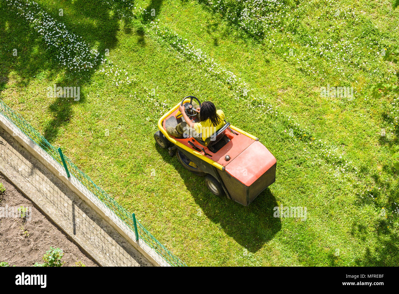 Vista da sopra di un maschio nero giardiniere di falciare un prato punteggiato di margherite su una falciatrice di equitazione lungo la recinzione di un giardino. Foto Stock