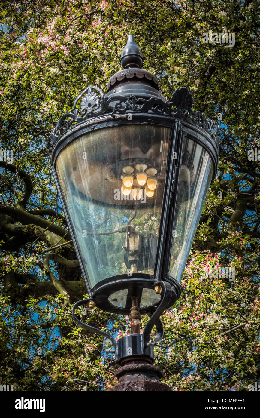 Londra tradizionale lampada a gas al di fuori della Certosa, Charterhouse  Square, Londra, Inghilterra, Regno Unito Foto stock - Alamy