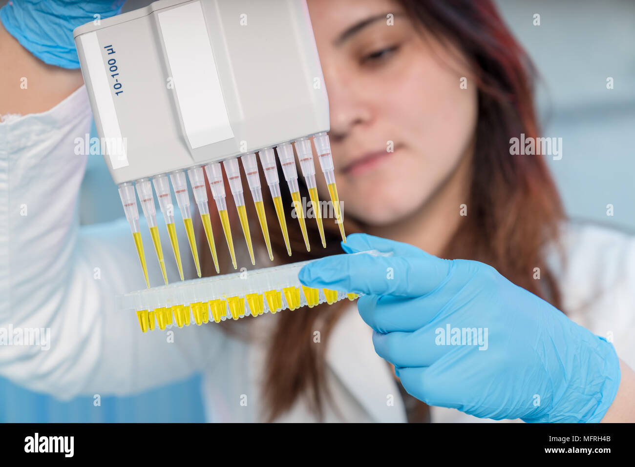 Donna con tecnico multipipette nel laboratorio di genetica ricerca PCR. Ragazza dello studente usare una pipetta. Giovane donna scienziato carichi di campioni per il DNA amplific Foto Stock