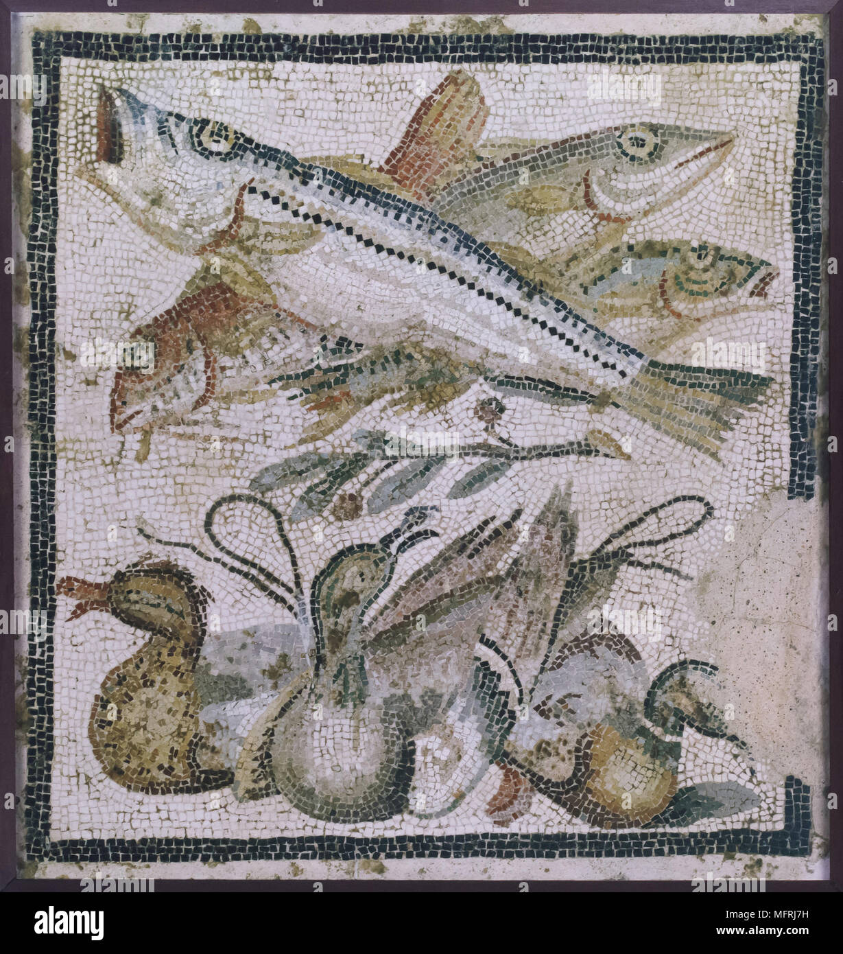 Pesci e anatre raffigurati in mosaico romano datato da 90-20 BC dalla Casa del Granduca di Toscana (Casa del Granduca) a Pompei, ora esposti nel Museo Archeologico Nazionale (Museo Archeologico Nazionale di Napoli) in Napoli, campania, Italy. Foto Stock