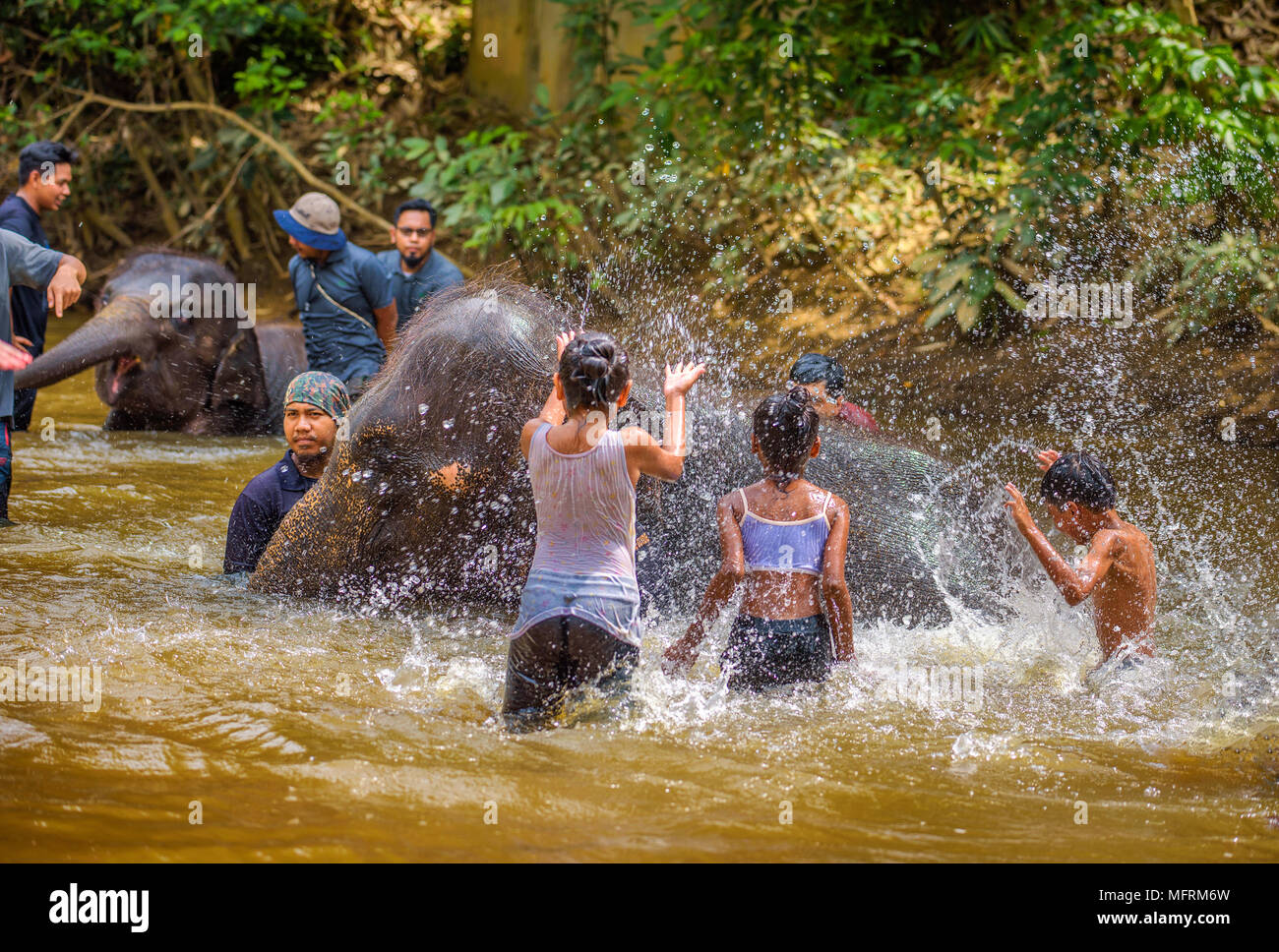 Giovani malesi bagno con baby elefanti Foto Stock