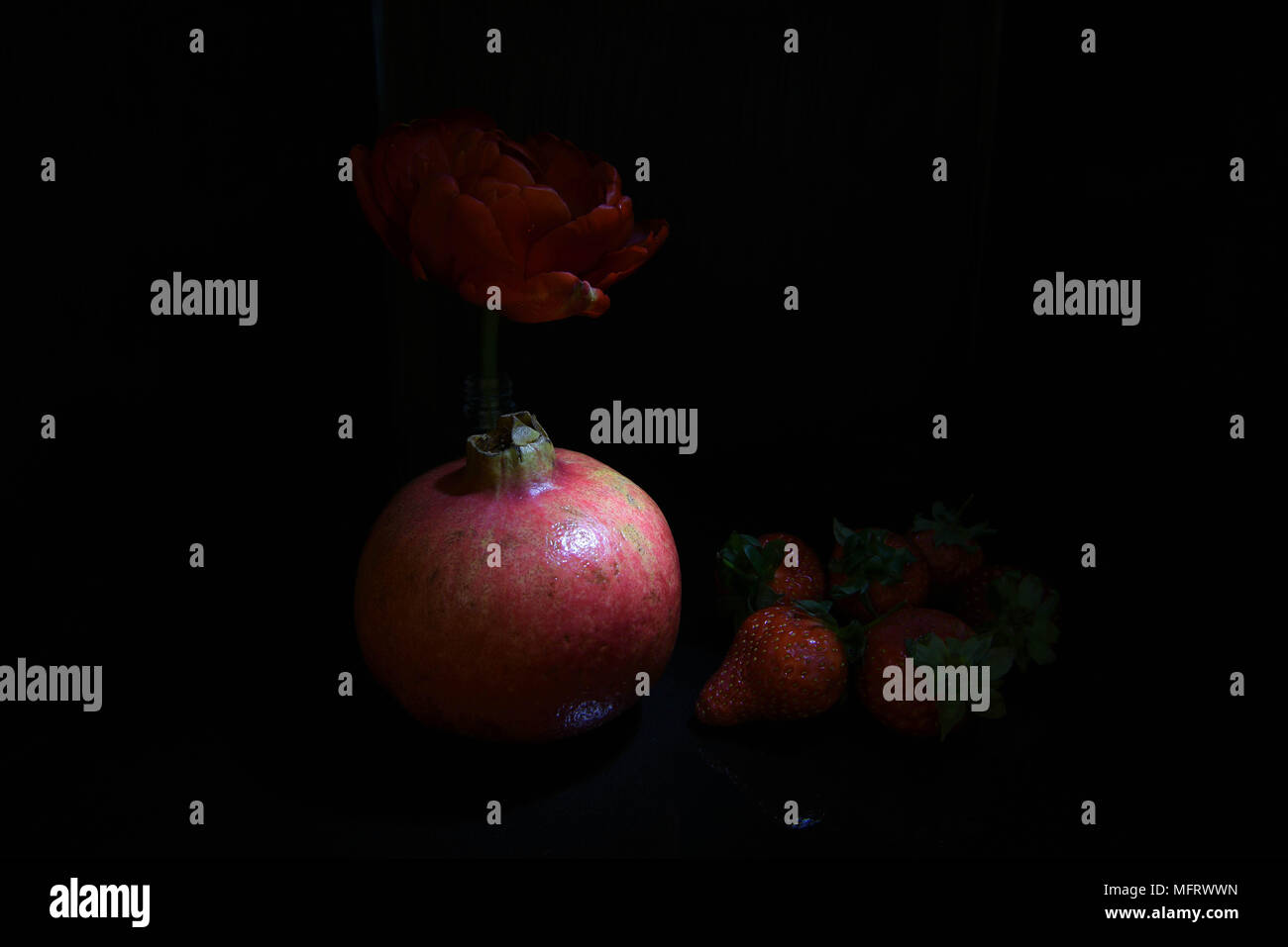 Dark ancora in vita con frutta e tulip Foto Stock