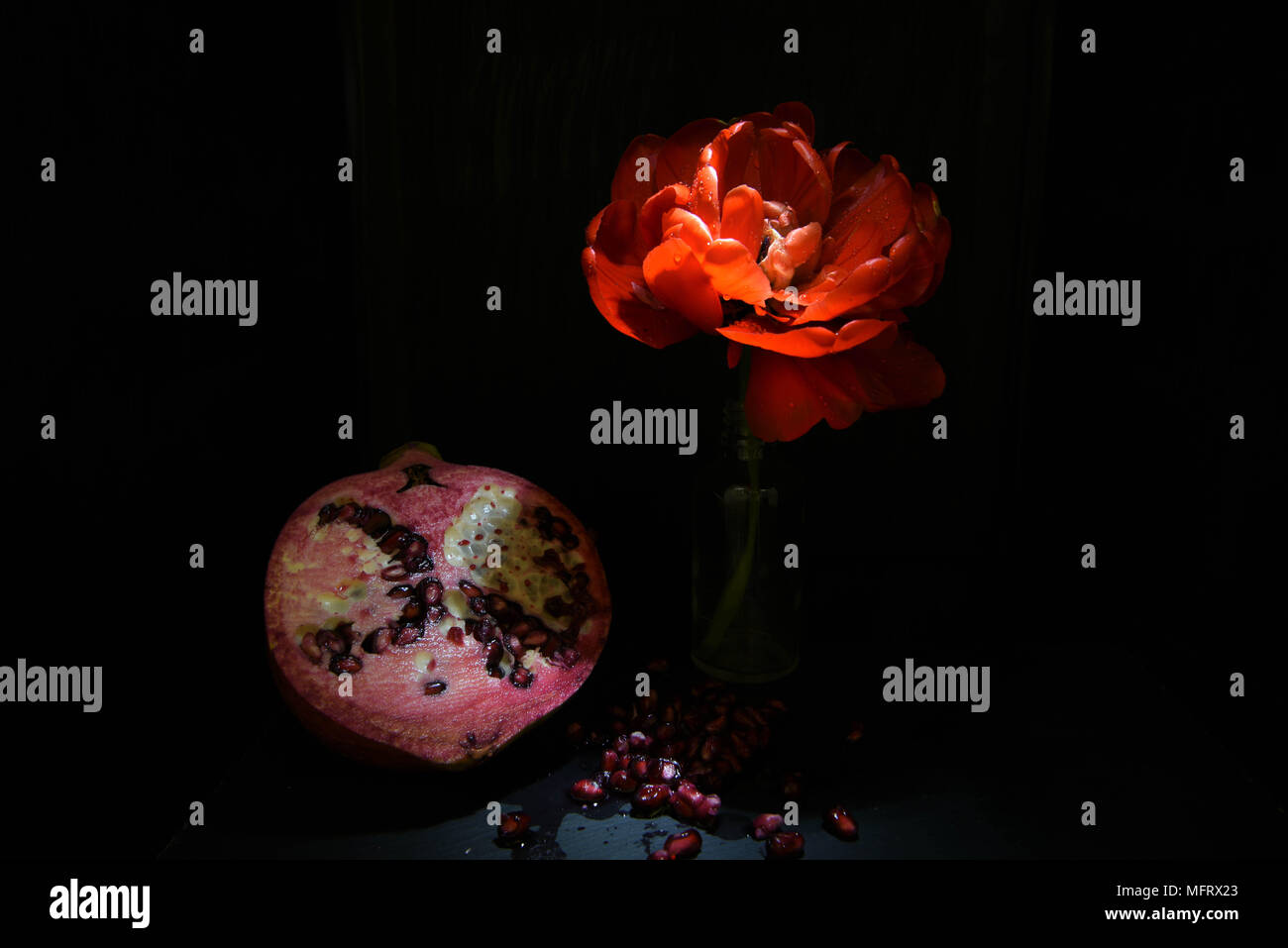 Dark ancora in vita con frutta e tulip Foto Stock