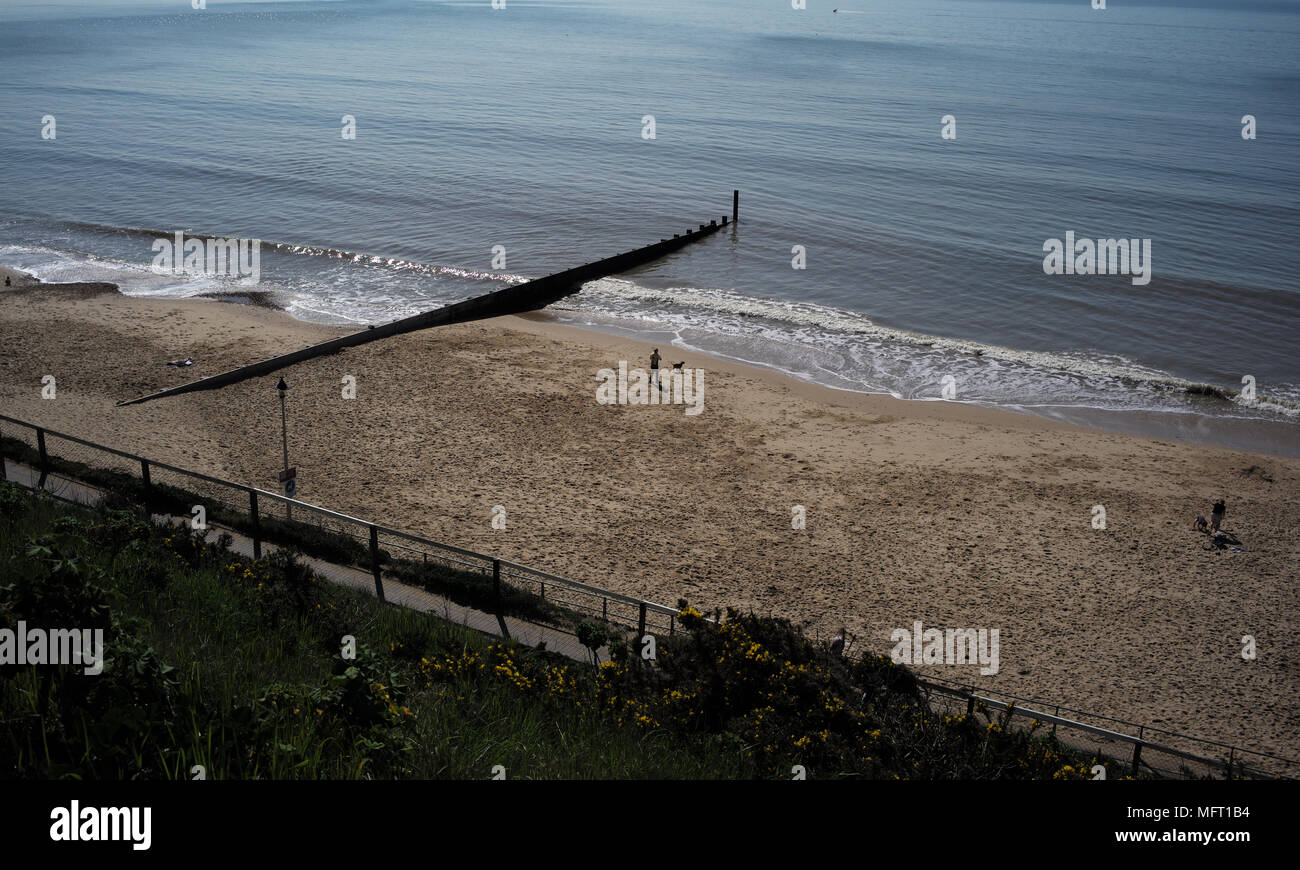 Dog walkers su Enfield beach Bournemouth godendo il sole caldo. Foto Stock