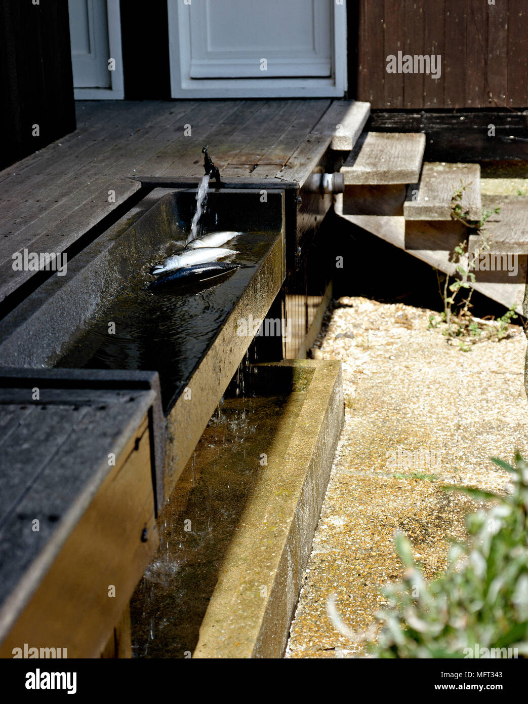 Outdoor trogolo di acqua acqua caratteristiche rustico in pietra Foto Stock