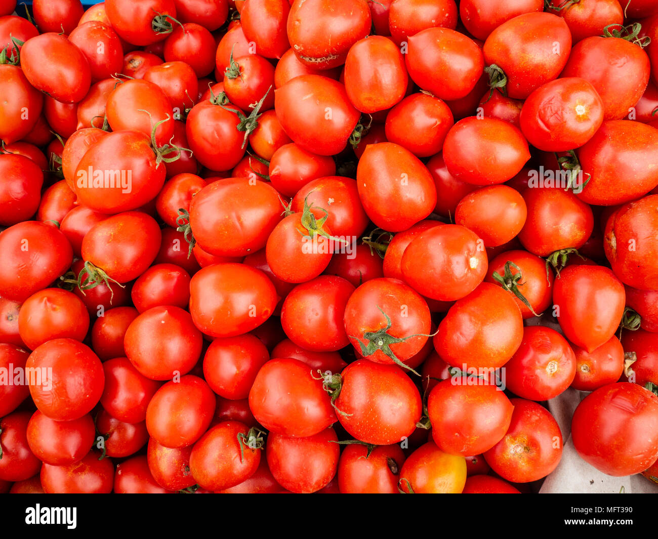 La frutta e la verdura fresca sulla strada del mercato di Alghero, Sardegna, Italia Foto Stock