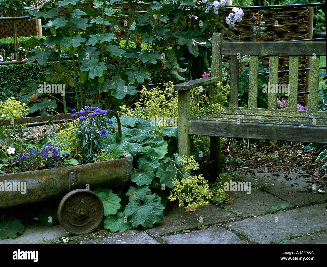 Mossy panca in legno su un patio in pietra accanto a una ghisa abbeveratoio con fiori. Foto Stock
