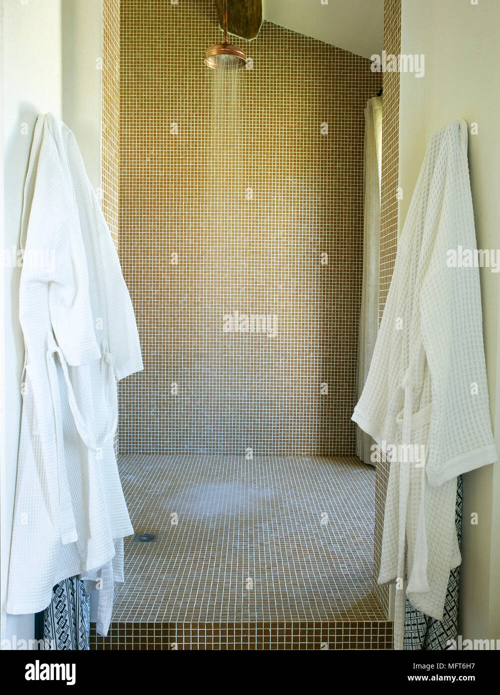 Bagno moderno particolare di una stanza da doccia con acqua corrente,  piastrelle a mosaico e accappatoi appesi a ganci Foto stock - Alamy
