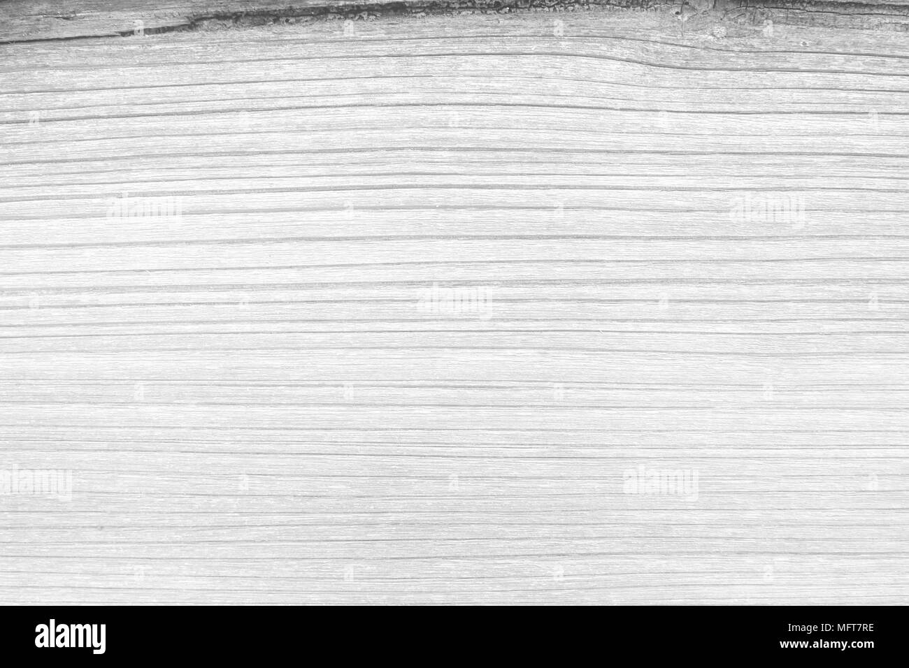 Legno bianco Texture della scheda Sfondo. Foto Stock