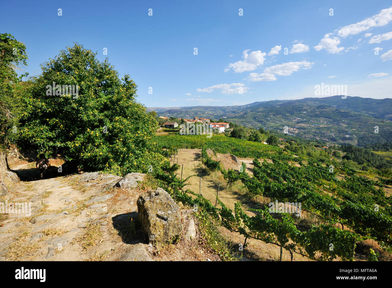 Un antico percorso in Quinta de Tormes, chiamato Jacinto road, il nome di un famoso personaggio da un libro dallo scrittore Eça de Queiróz. Quinta de Tormes, Po Foto Stock