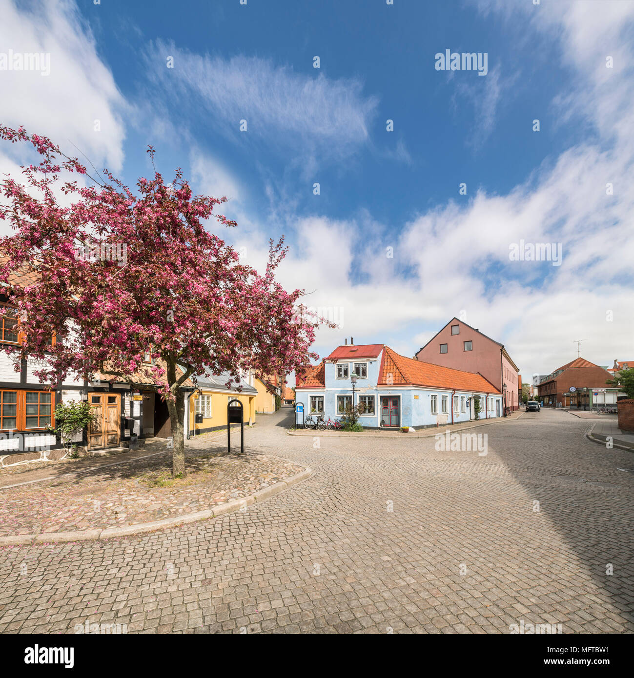 Piccola strada con edifici tipici in Ystad e alberi da frutto in fiore. Skane. La Svezia. La Scandinavia. Foto Stock