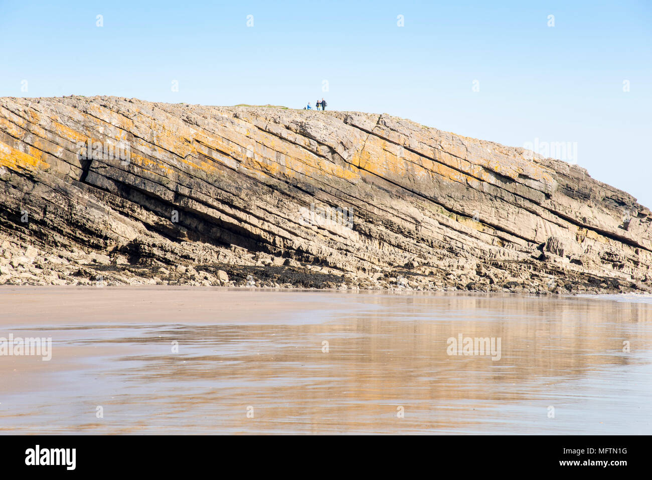 Punto di frati, Barry, visto dal livello della spiaggia che mostra chiaramente il calcare carbonifero geologia del promontorio e con la gente per la scala. Foto Stock