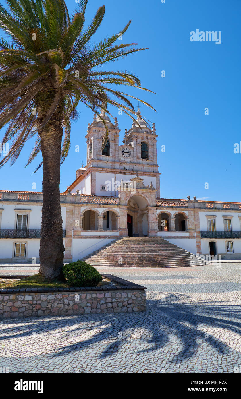 Il punto di vista della chiesa di Nossa Senhora da Nazare in tutta la piazza centrale con il grande albero di palma in primo piano. Nazare. Portogallo Foto Stock