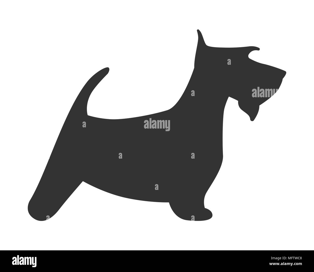 Scotch terrier silhouette cucciolo di cane di razza icona semplice. Illustrazione Vettoriale. Illustrazione Vettoriale
