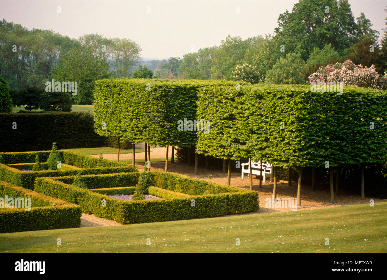 Topiaria da coperture in giardino formale Foto Stock