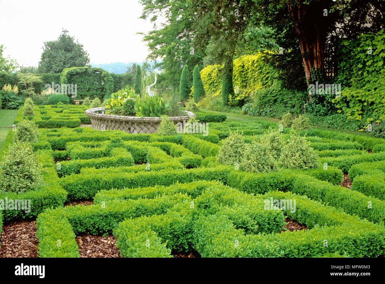 Giardino adornato con una bassa copertura di buxus ritagliata Foto Stock