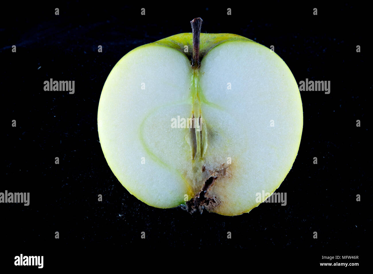 Antico tedesco Apple Cultivar 'Ananasrenette' Foto Stock