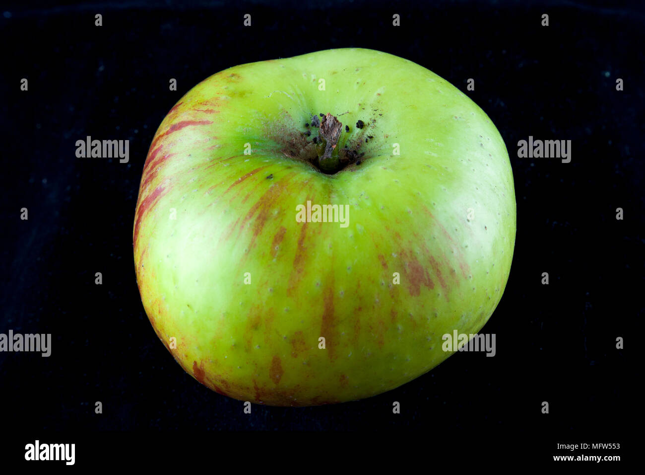 Antico tedesco Apple Cultivar 'Breitauge' Foto Stock