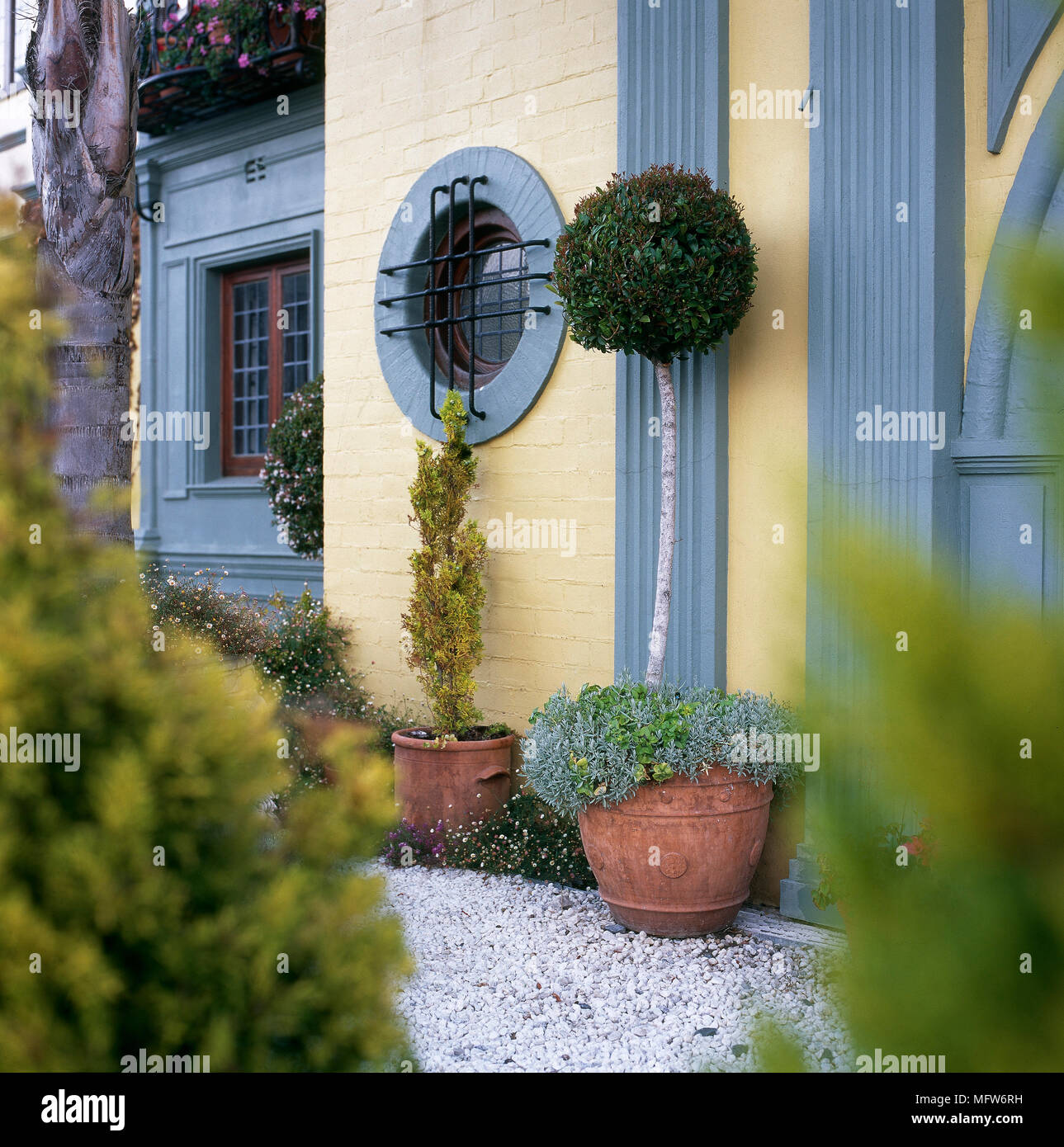 Dettagli esterni di un mattone, casa coloniale con vetro vetri e topiaria da un albero. Foto Stock