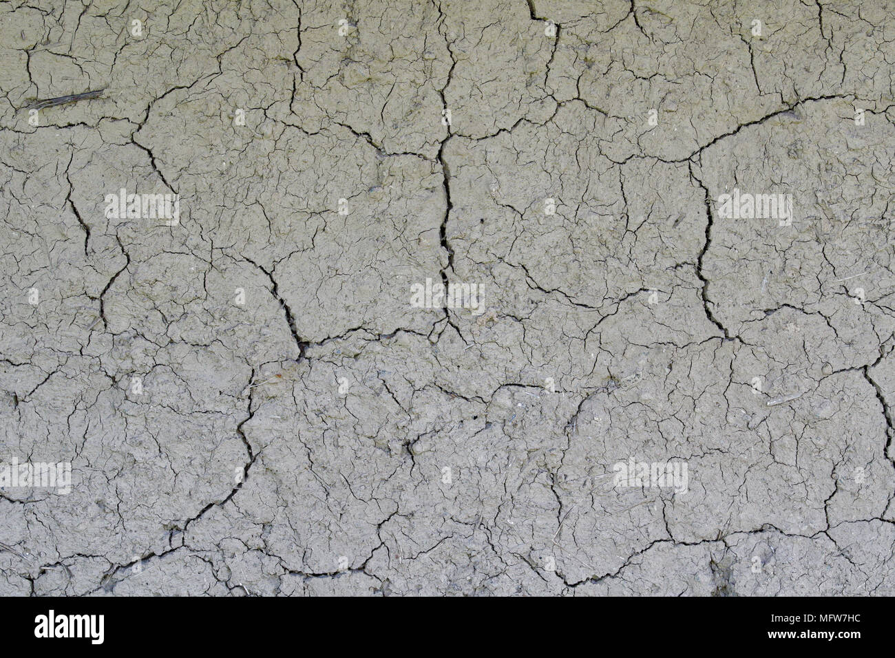 La siccità, la massa crepe, niente acqua calda, la mancanza di umidità. Essiccato incrinato e massa. Superficie incrinato, il terreno asciutto in zone aride. Foto Stock