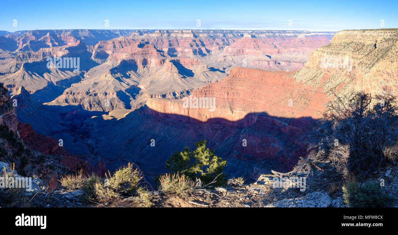 Il Grand Canyon visto dal bordo Sud nel pomeriggio Foto Stock