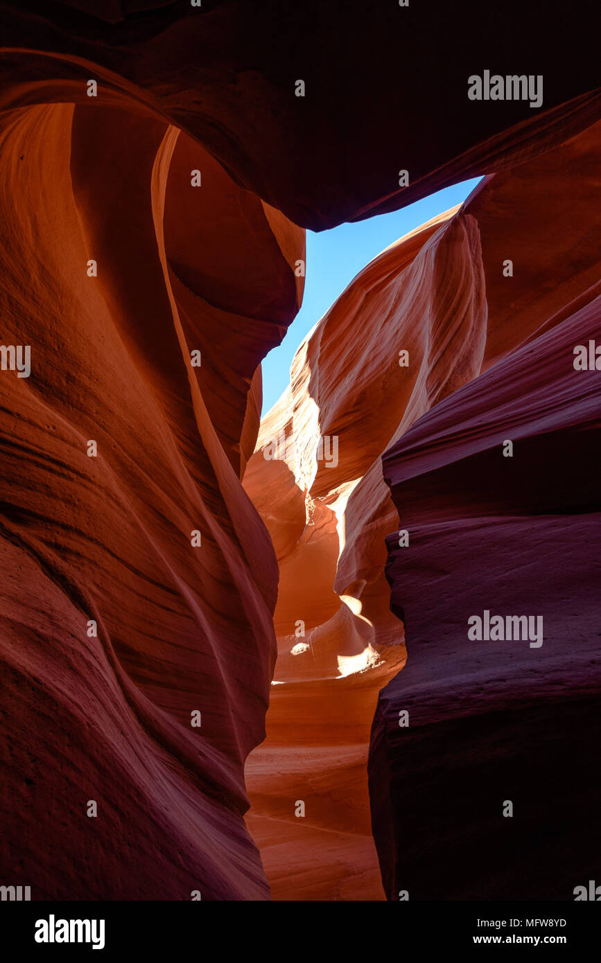 La liscia forme di pietra arenaria di abbassare Antelope Canyon vicino a pagina, Arizona Foto Stock